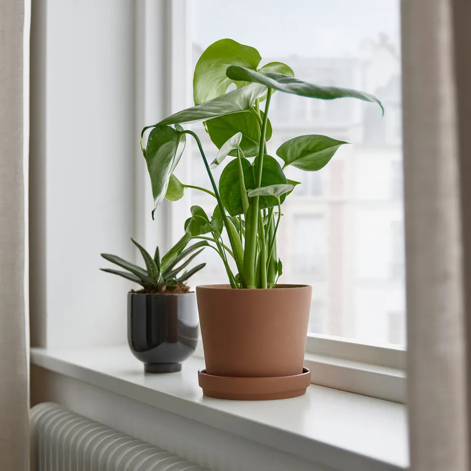 part: KLARBÄR plant pot with saucer
