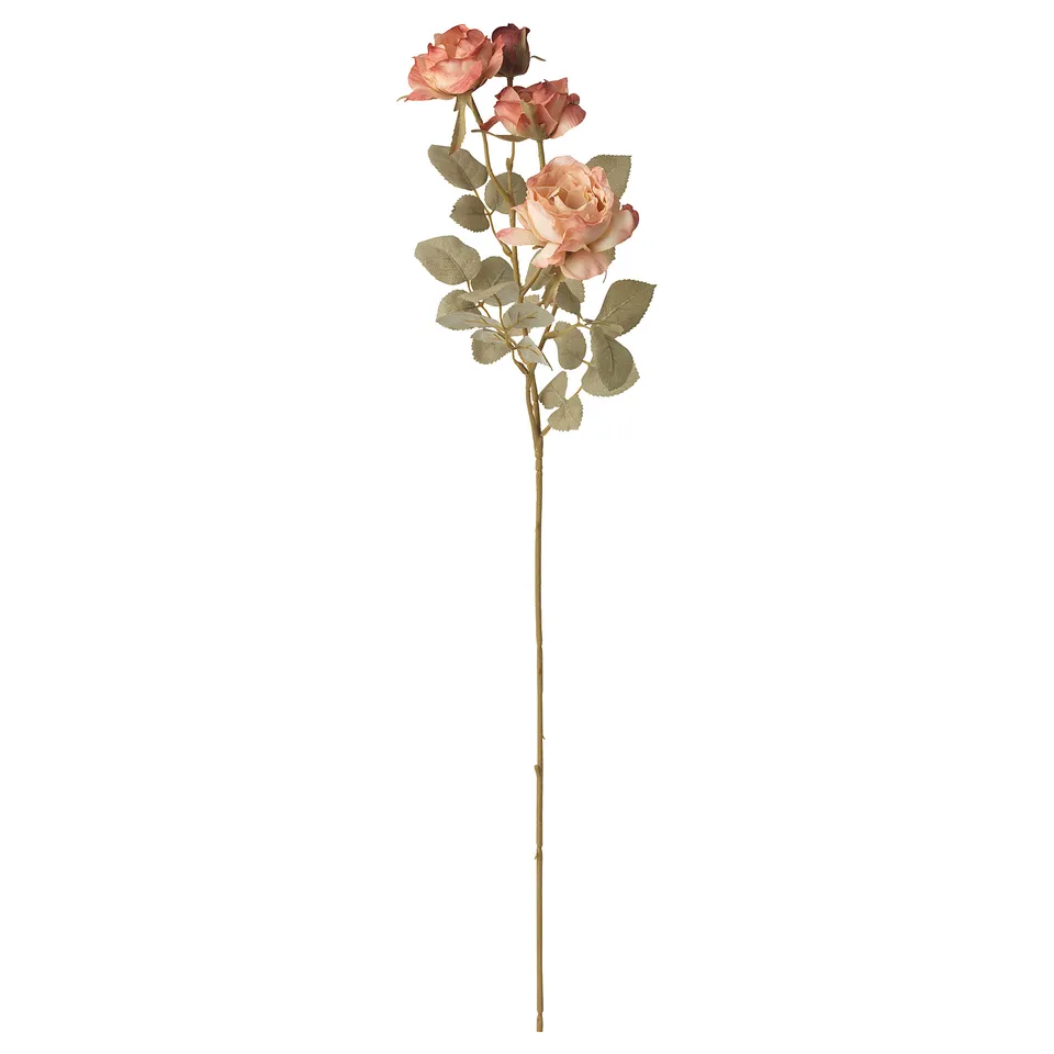 SMYCKA/SMÄLLSPIREA, photo 4