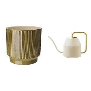 HONUNGSPALM/VATTENKRASSE set: plant pot + watering can