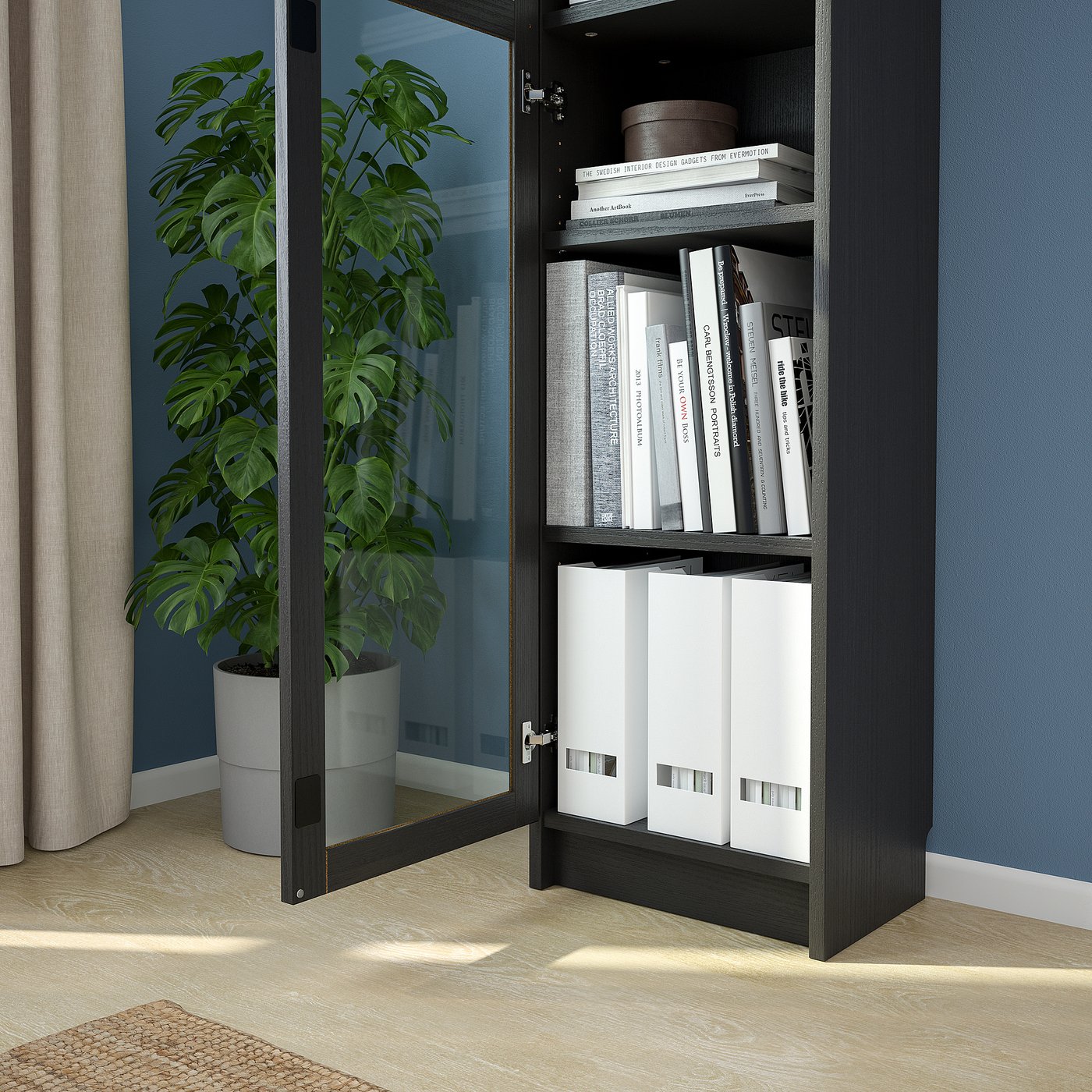 Black cabinet with glass door, displaying books, white storage boxes. Large plant beside it.