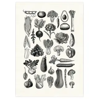 BILD poster, various vegetables, Width 50 x Height 70 cm