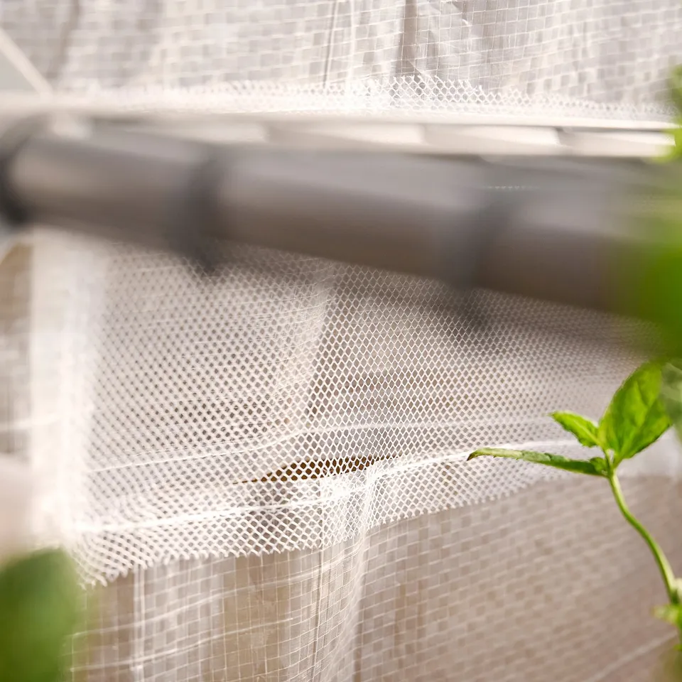 Small garden greenhouse with a white mesh cover, black support bar, and green leaves peeking in.