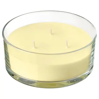 LOTSFÅGEL